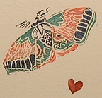 Moth2